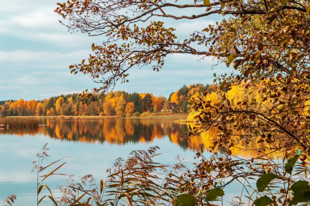 Zakup działki nad jeziorem wymaga sprawdzenia nie tylko księgi wieczystej i możliwości zabudowy